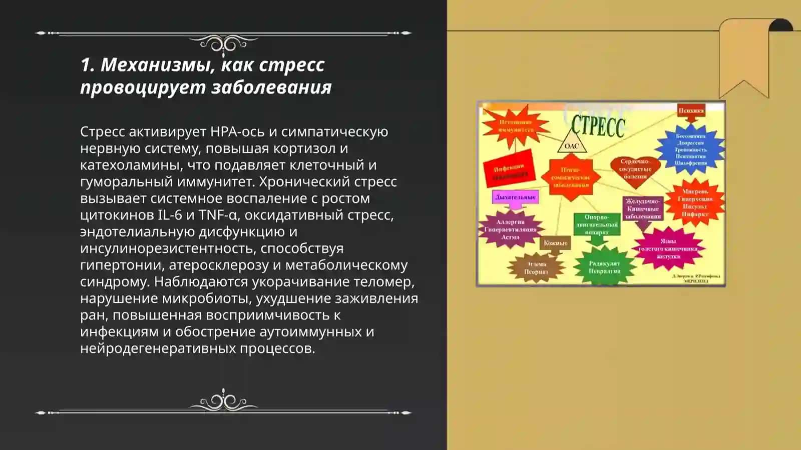 Стресс-причина всех болезней 3