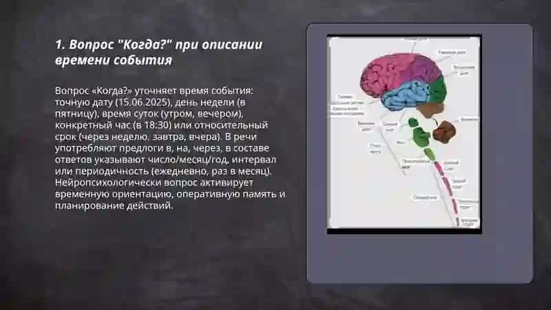 Описание времени. Головной мозг 3