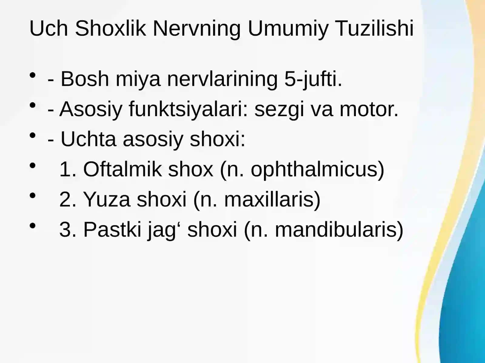 Uch Shoxlik Nerv va Uning Vegetativ Tugunlari 3