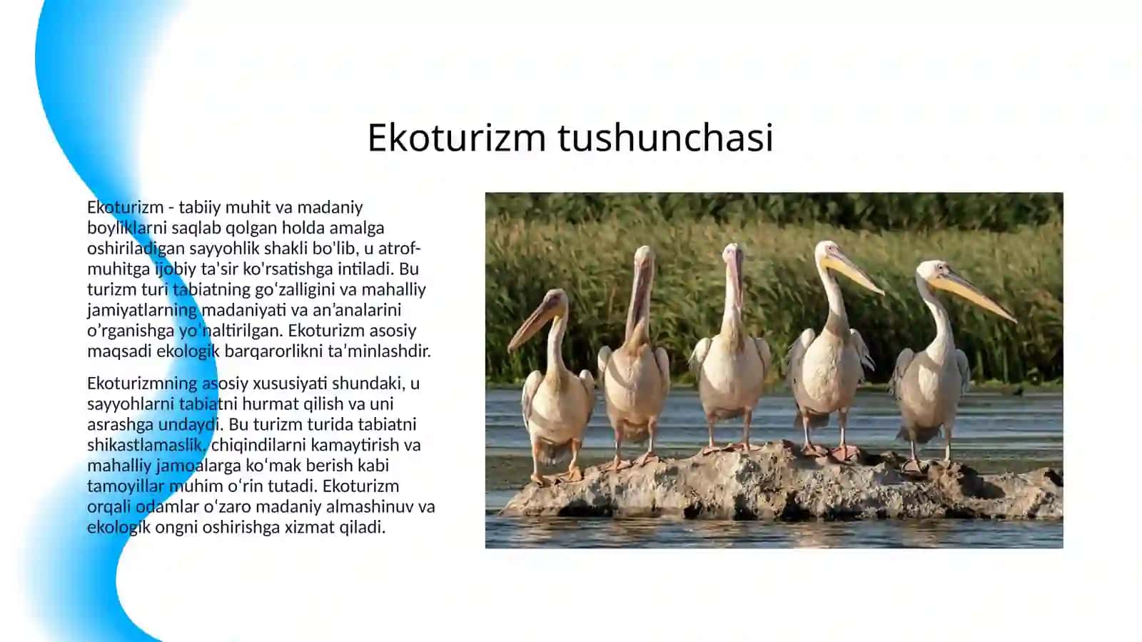 Ekoturizm va Ekologik Boshqaruv Tizimini O’rganish 3