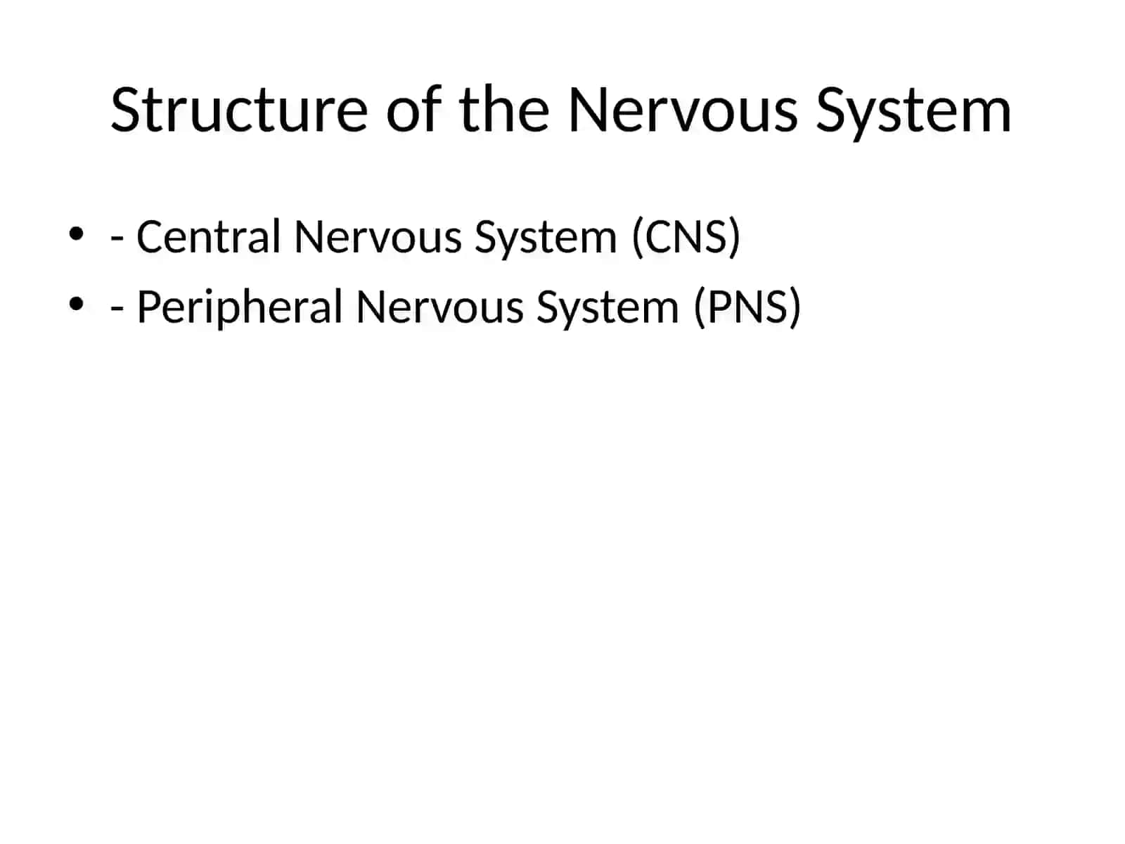 Nervous System Structure, Functions, and Disorders 3
