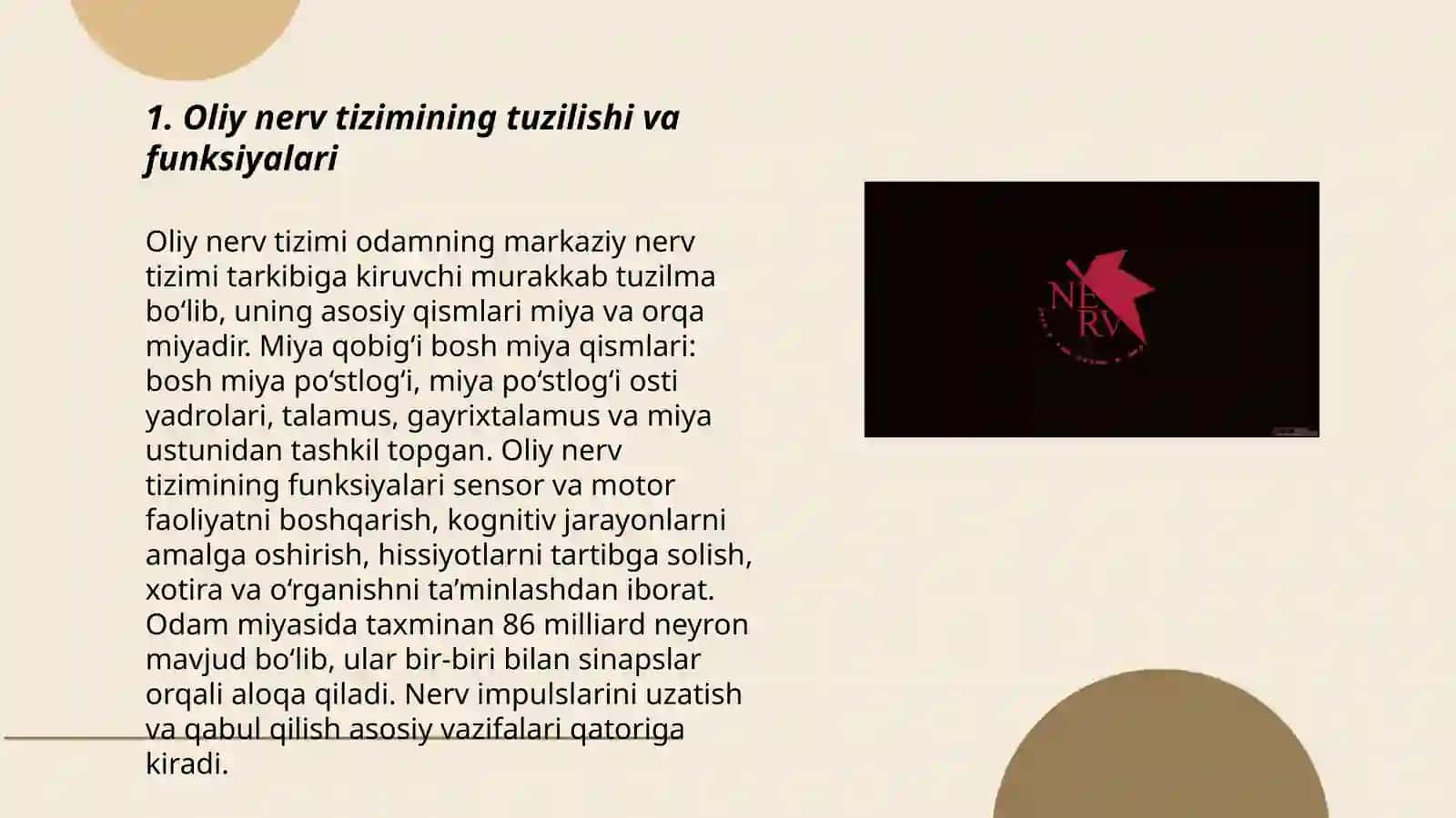 Oliy nerv tiziminin tuzilishi va funksiyalari 3
