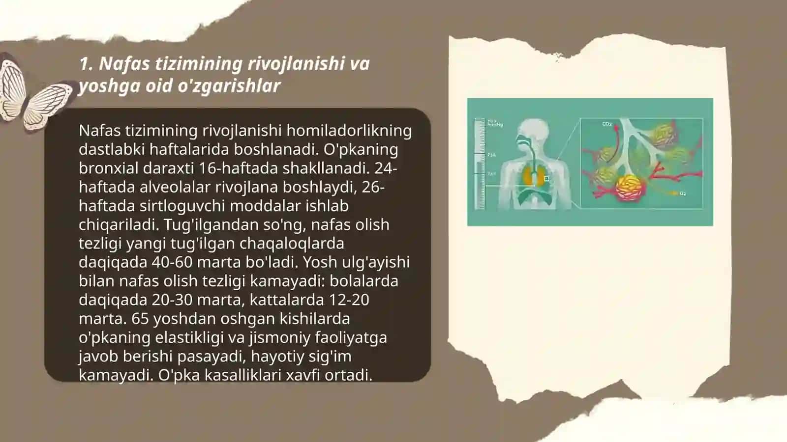 Nafas tizimining yoshga oid fiziologiyasi va gigiyenasi 3