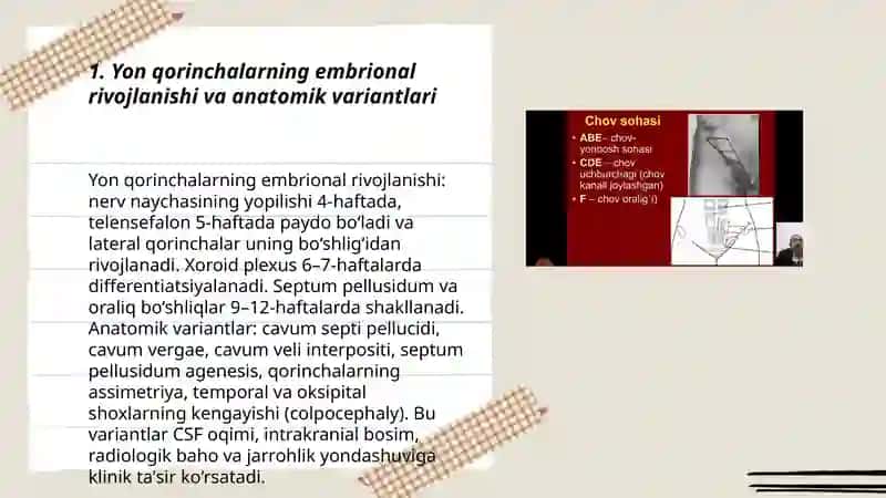 Yon qorinchalarning variant anatomiyasi klinik ahamiyati 3