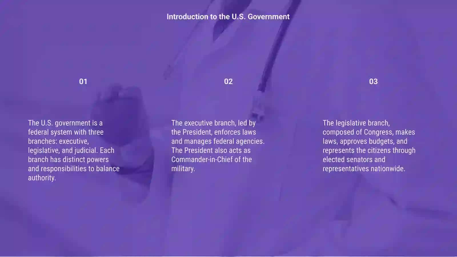 The Governmental Structure of the USA 3