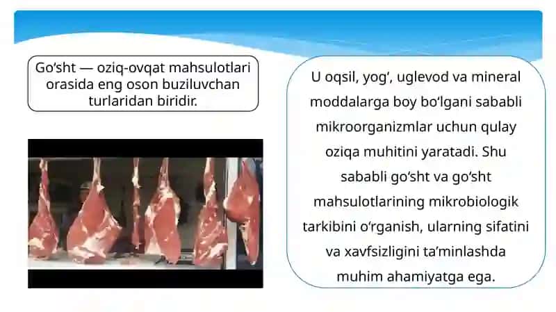 Go’sht va go’sht mahsulotlarning mikrobiologik xususiyatlari 3