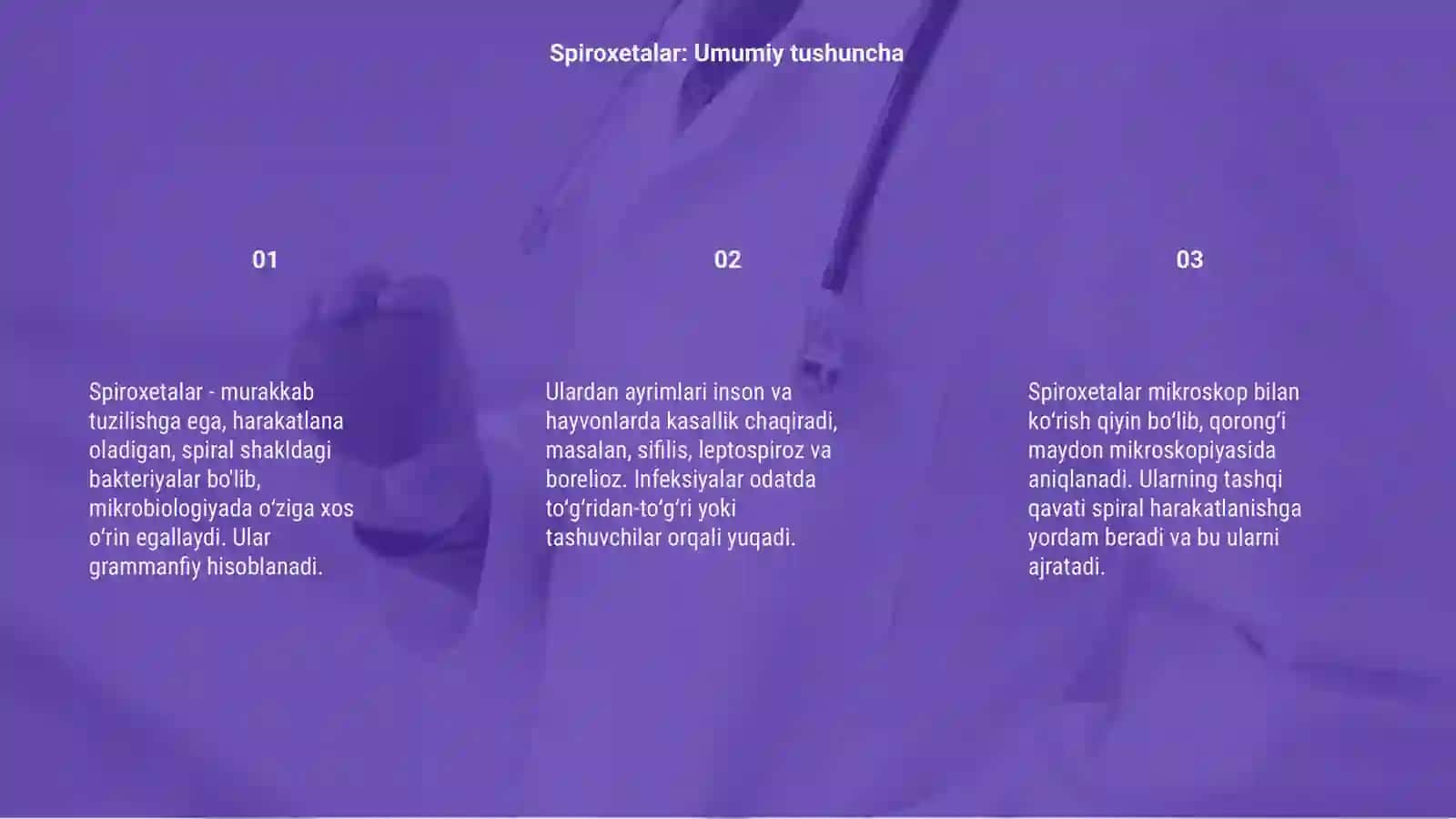Patogen spiroxetalar haqida tushuncha 3