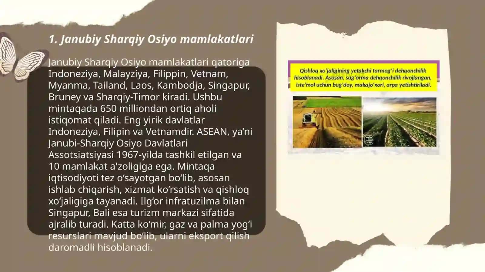 Janubiy Sharqiy Osiyo mamlakatlari 3