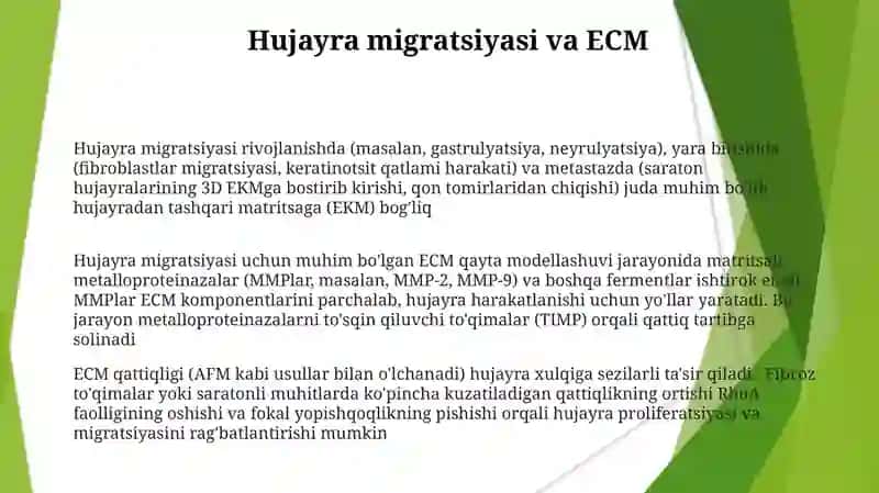 Hujayra va hujayradan tashqari matriks orasidagi munosabatlar 3