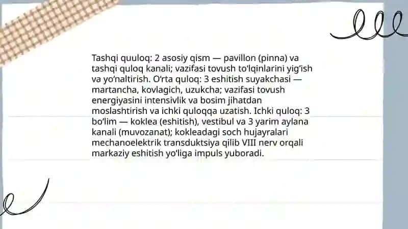 Tashqi va o‘rta quloqning funksional va yoshli anatomiyasi 3