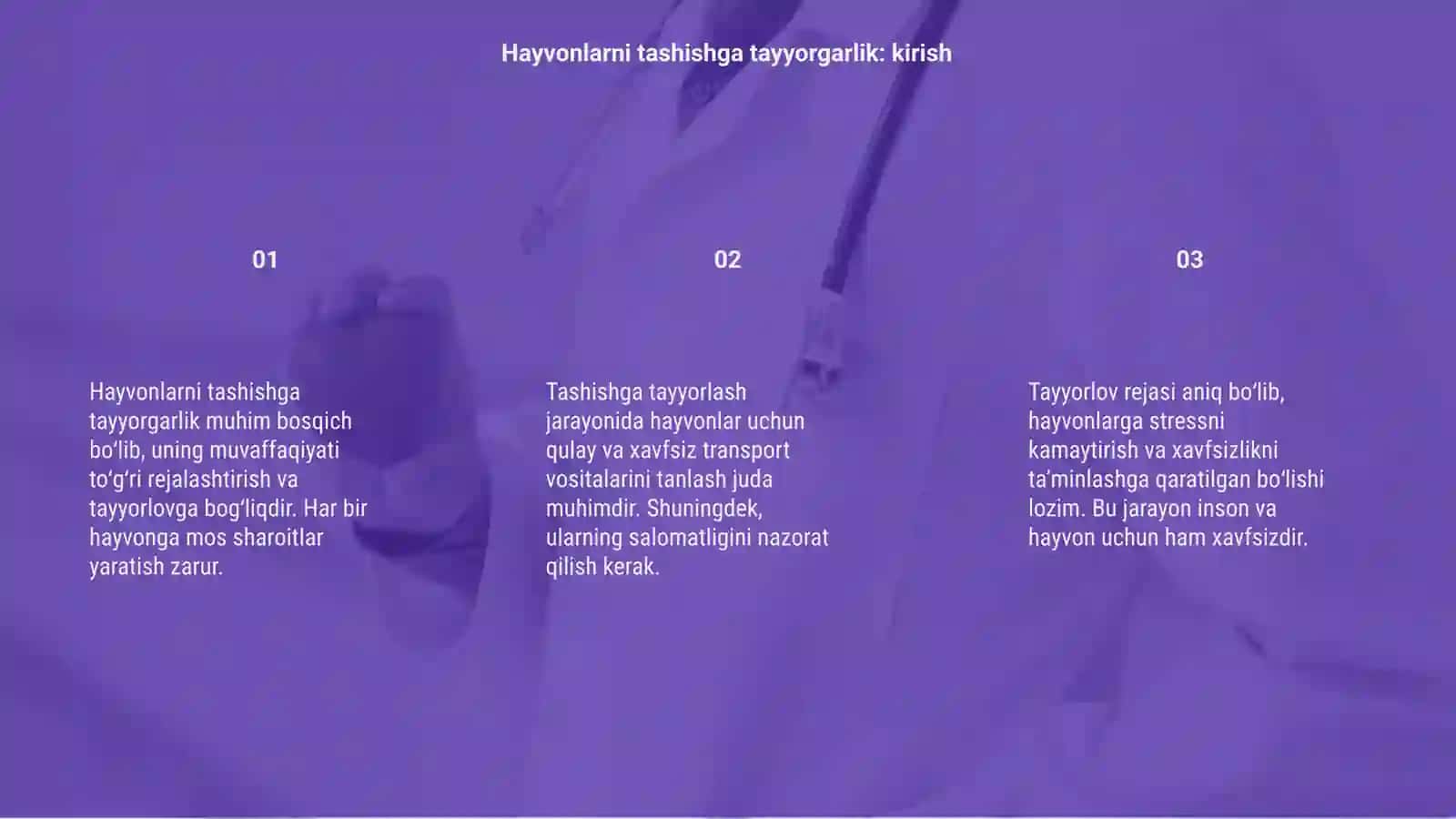 Hayvonlarni tashishga tayyorgarlik 3