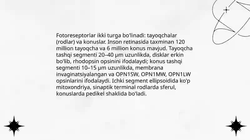 Fotoreseptsiyaning sitologik va molekulyar mexanizmlari 3