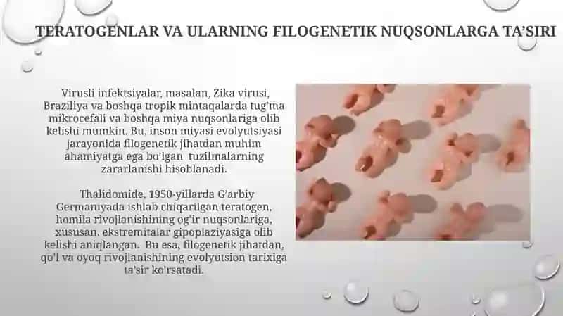 Odamda rivojlanishning filogenetik nuqsonlari 3