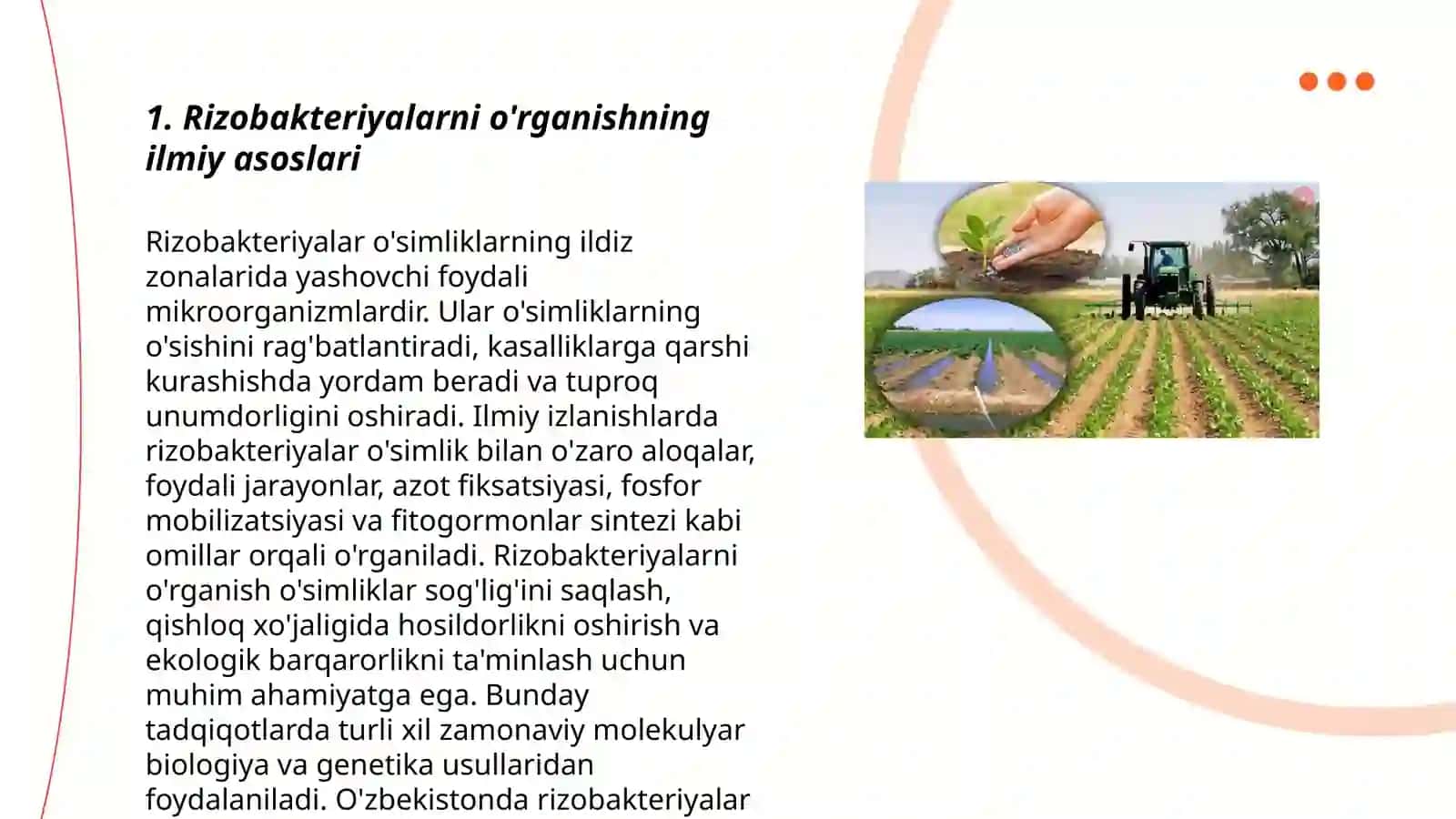 Rizobakteriyalar va ulardan dukkaklilar inokulyatsiyasi uchun foydalanish 3