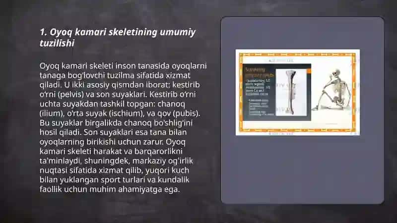 Oyoq kamari skeletining tuzilishi va suyaklarning vazifasi 3