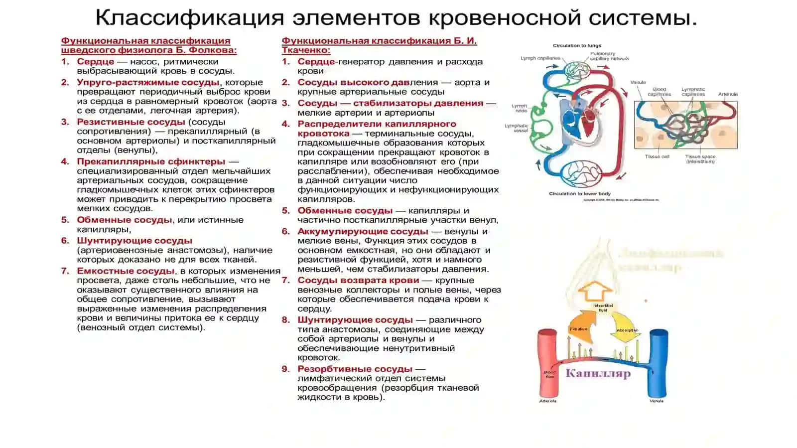 Нарушения кровообращения 3