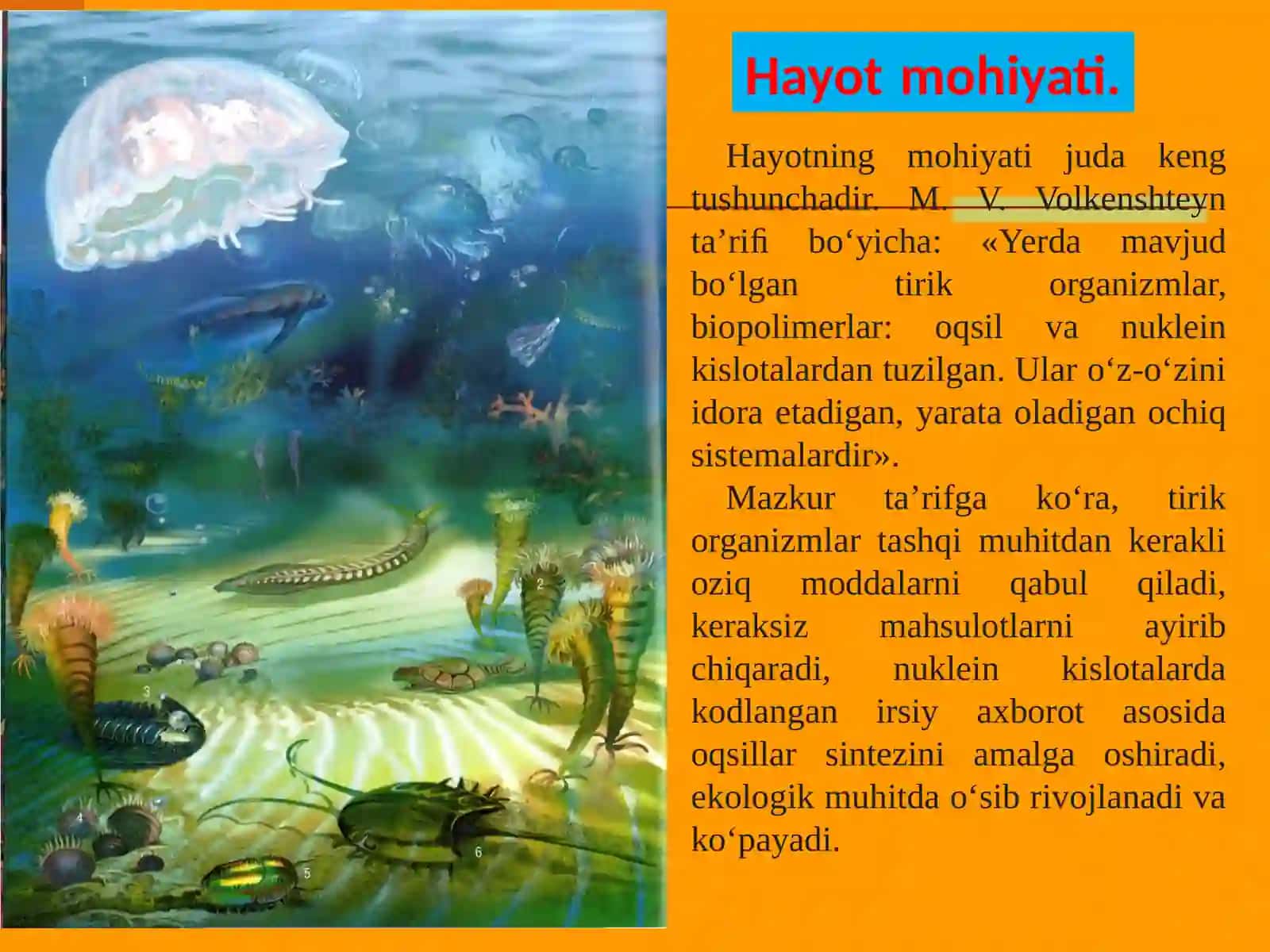 HAYOT MOHIYATI VA TIRIKLIKNING XUSUSIYATLARI 3