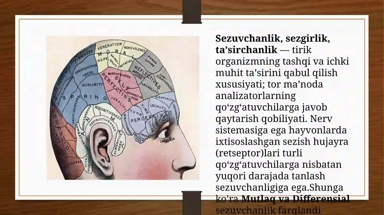 MUTLAQ VA DIFFERENSIAL SEZGIRLIKNI O’RGANISH 3
