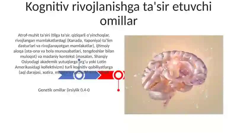 Kognitiv rivojlanishga ta'sir etuvchi omillar 3