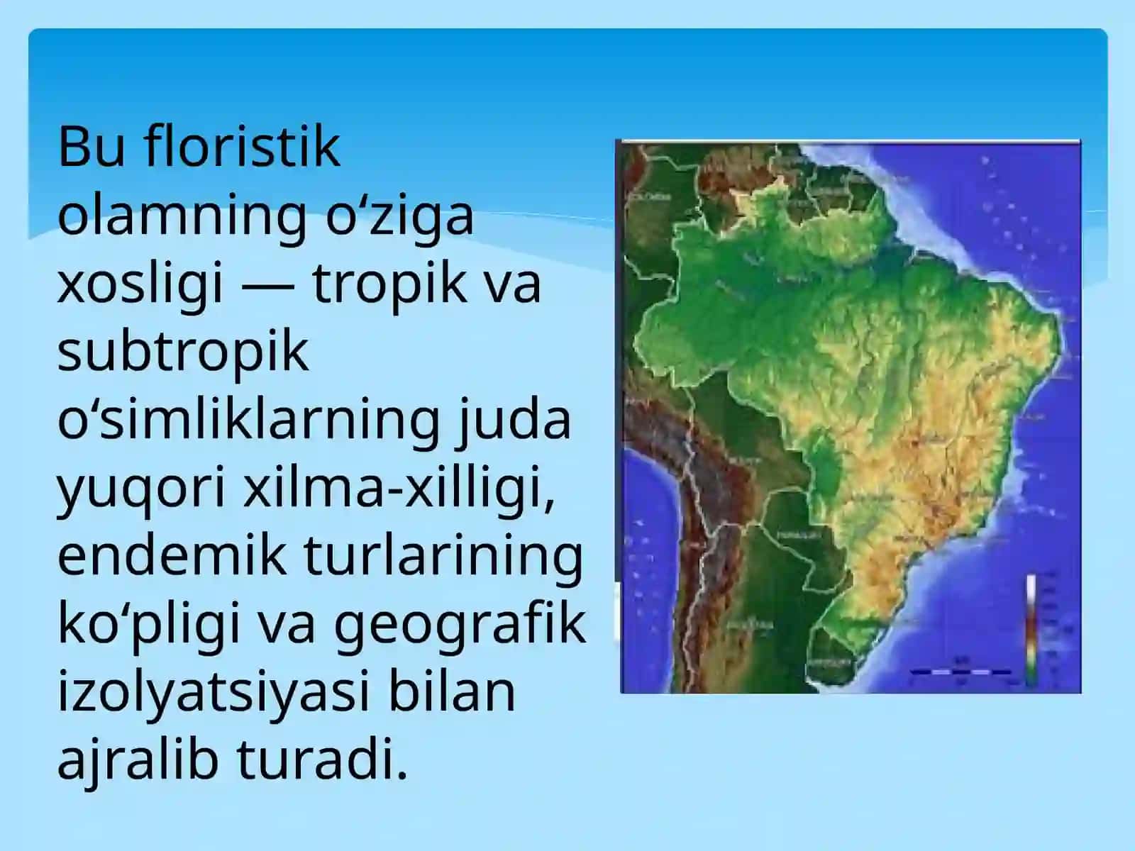 Neotropikfloristik olam 3