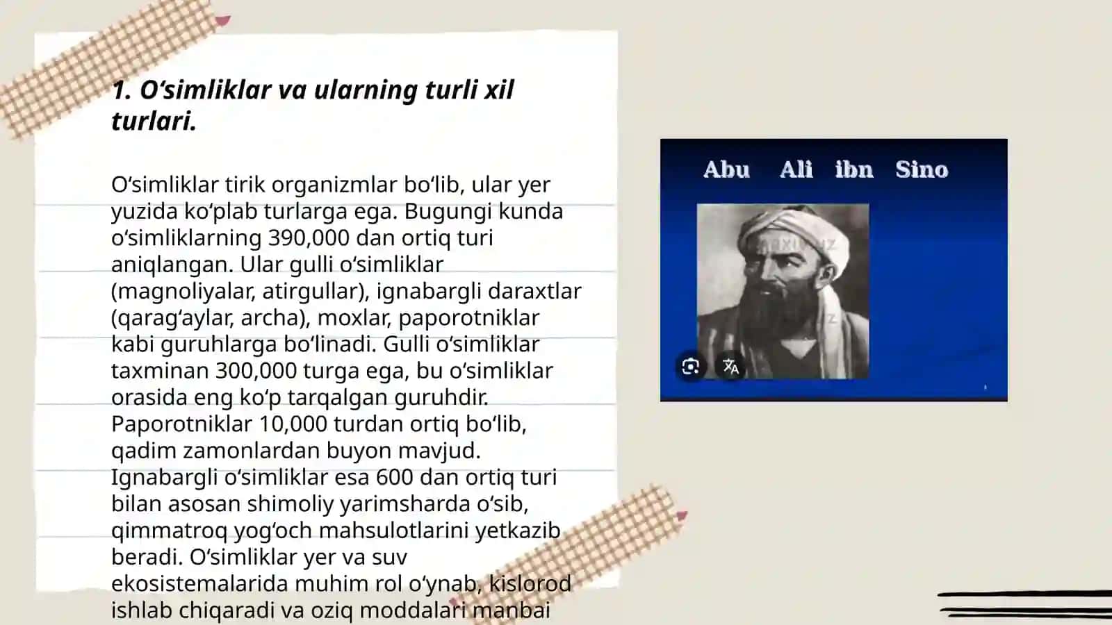 Yuksak o‘simliklar tarixi. O‘rta Osiyo allomalarining o‘simliklar haqida fikri 3