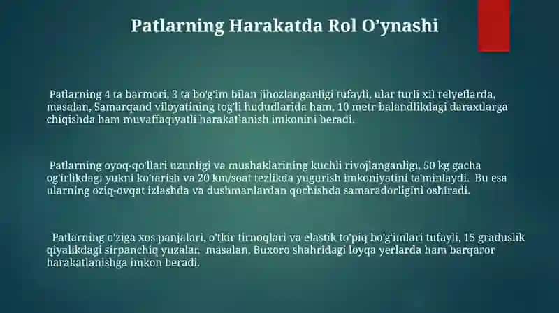 Parrandalarning harakat organlari 3