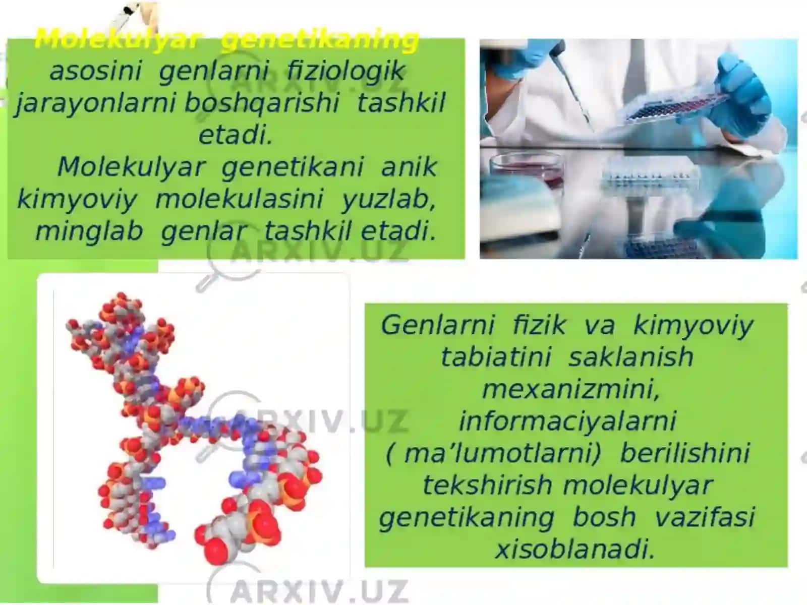 Irsiyatning molekulya rasoslari 3