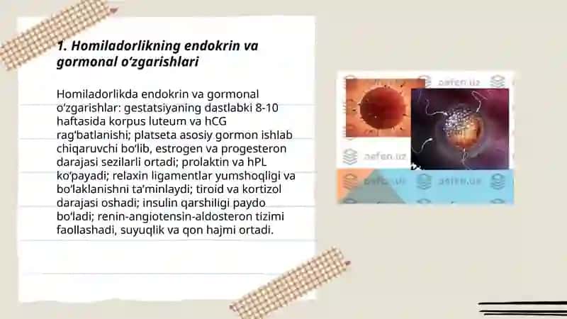 Homiladorlik fiziologiyasi va diagnostikasi 3
