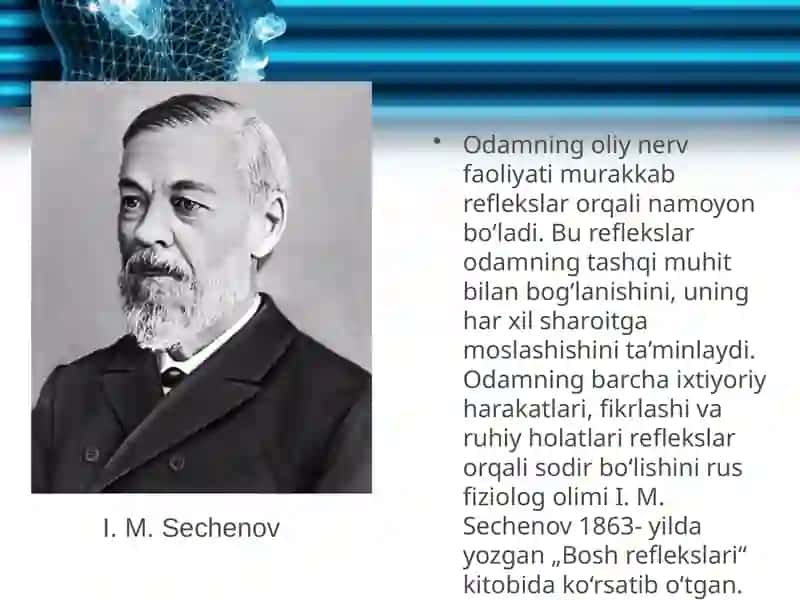 Oliy nerv faoliyati 3