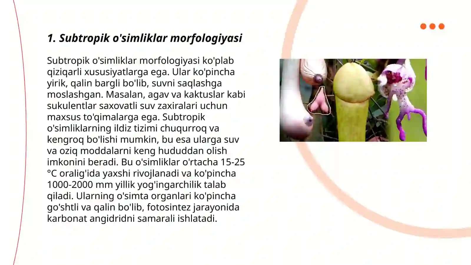 Subtropik o'simliklar va rezavor mevalar morfologiyasini o'rganish 3