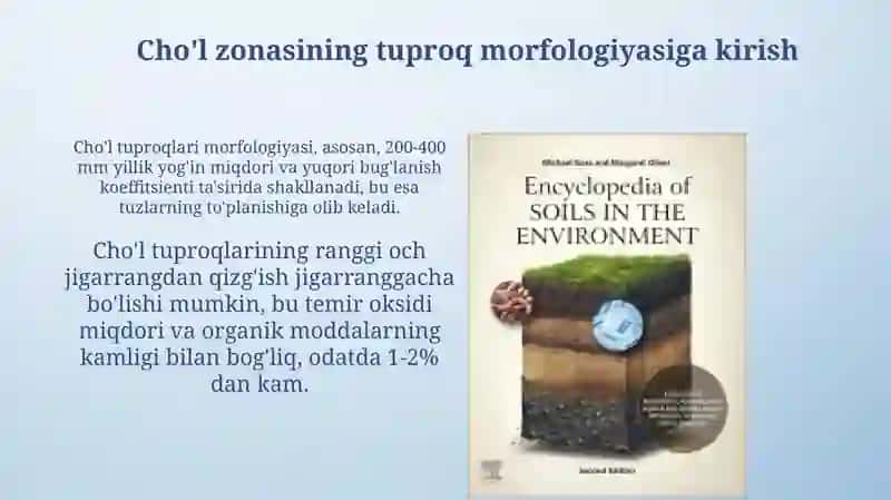 Cho'l zonasining tuproq morfologiyasi 3