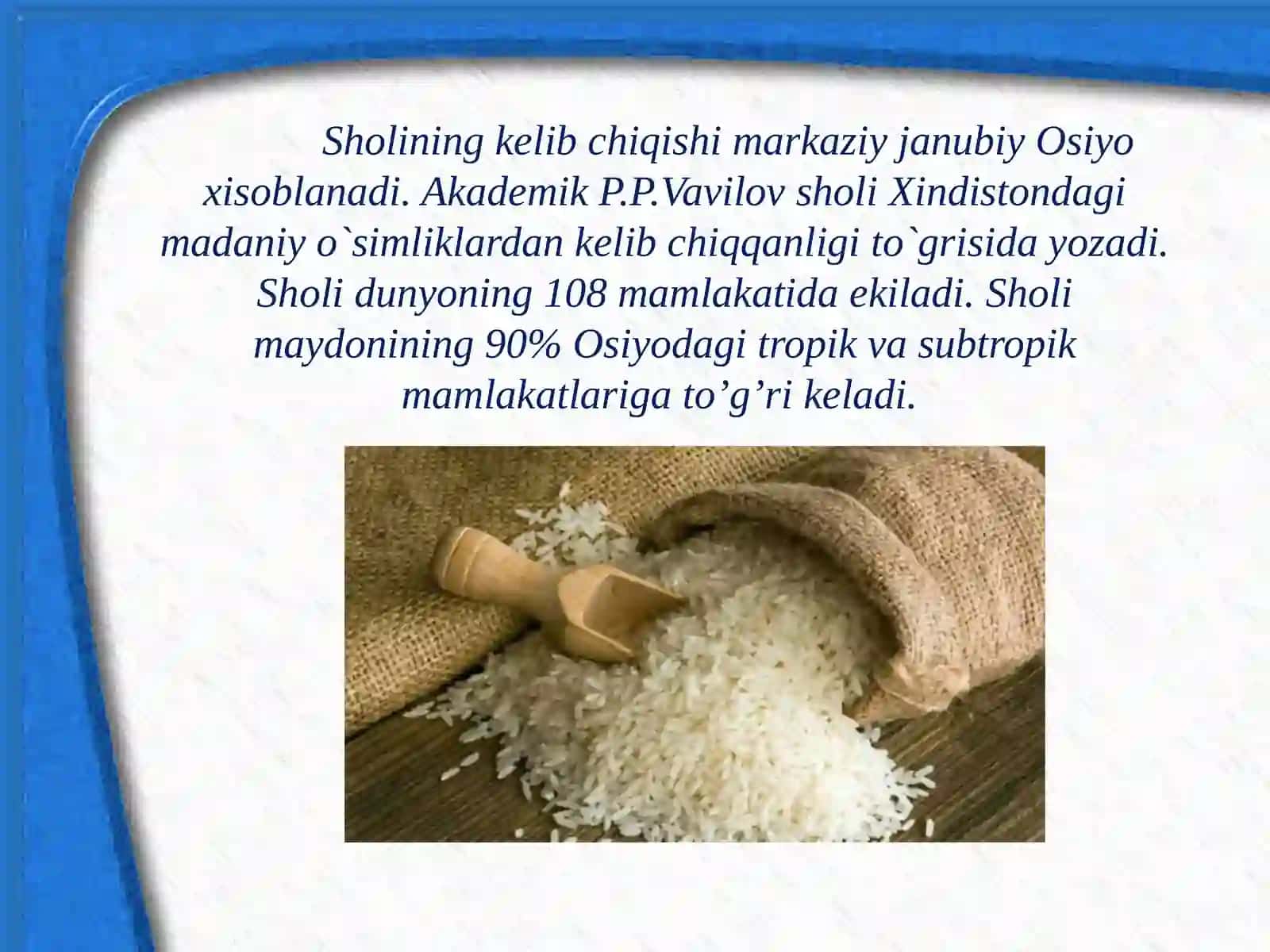 Sholi - biologiyasi va yetishtirish texnologiyasi 3