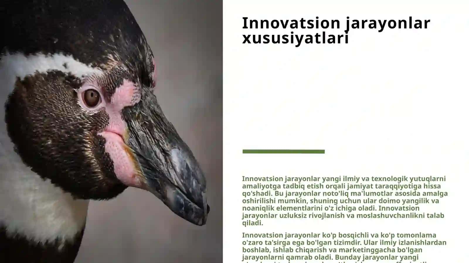 TA'LIMDA INNOVATSION JARAYONLAR TENDENSIYALARI VA QONUNLARI.TA'LIMDA MODERNIZATSIYA VA EKSPEREMENT.INNOVATSION FAOLIYATNI AMALGA OSHIRISH SHAKLLARI:INNOVATSION LOYIHALAR VA DASTURLAR 3