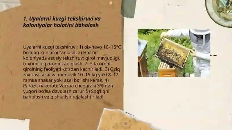 Asalarichilikda qo’laniladogan kuzgi ishlar 3