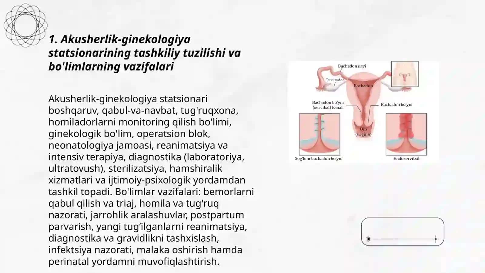 Akusherlik-ginekologiya statsionarining tashkil etilishi va tuzilishi. Ayol jinsiy a'zolarining klinik anatomiyasi. Tug'ruq yo’llari, homila tug'ruq obyekti sifatida 3