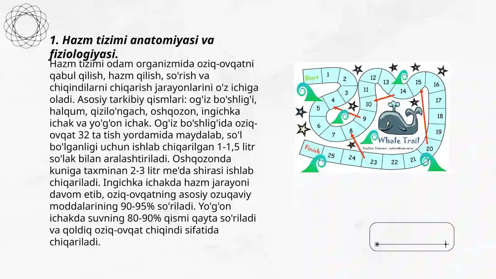 Hazm tizimi faoliyatinin o'rganishning yangi usullan 3