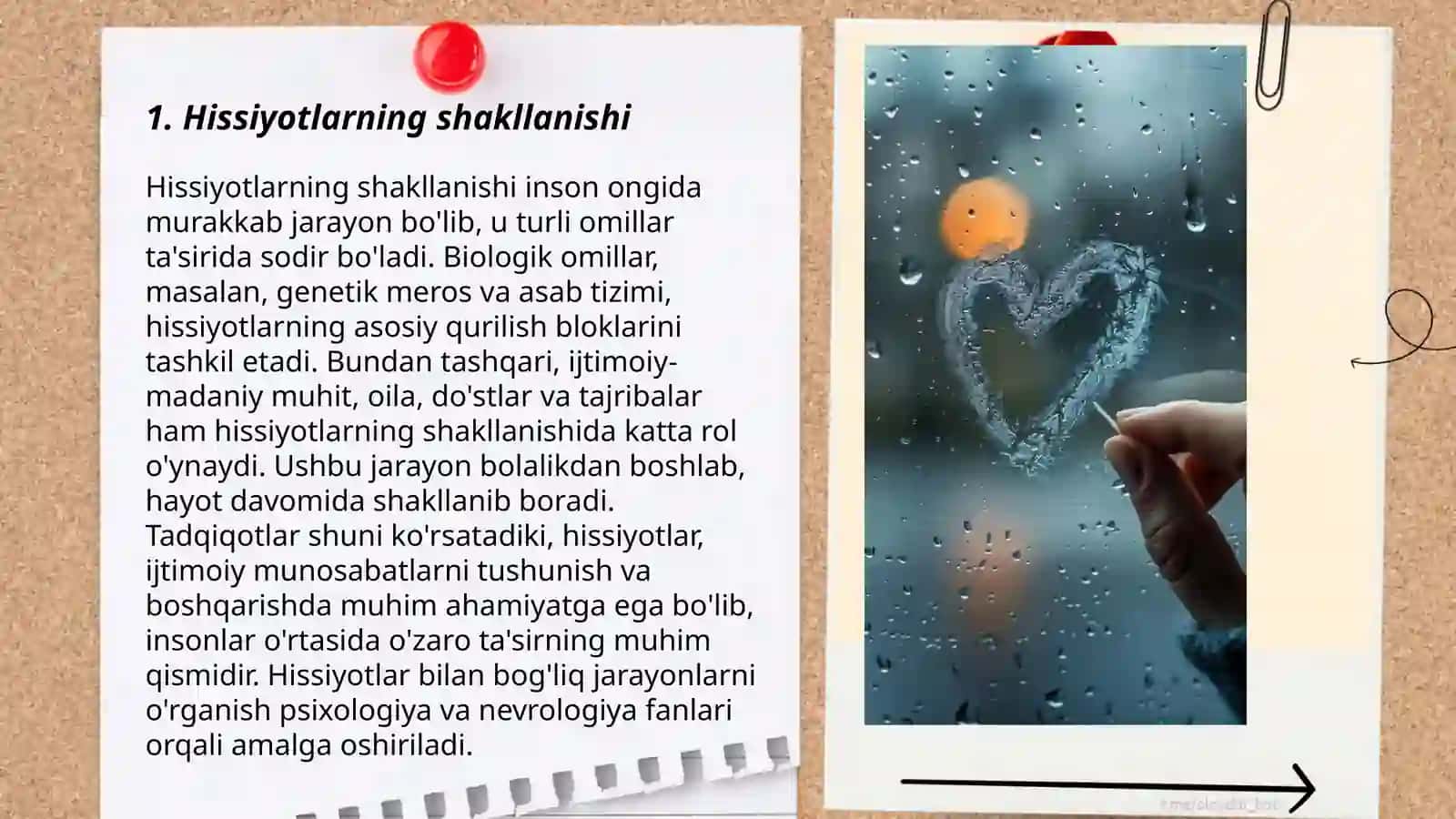 Shaxsning pisologik holatlari hissiyot emotsiya iroda 3