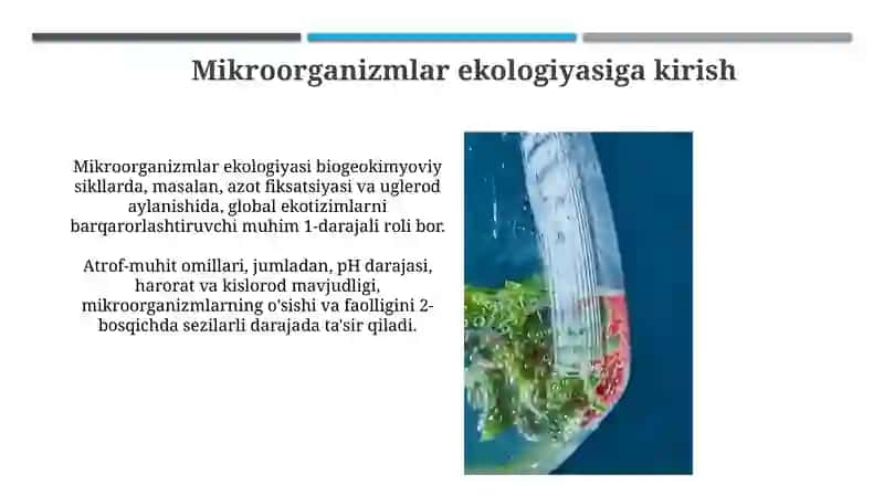 Mikroorganizmlar Ekologiyasi 3