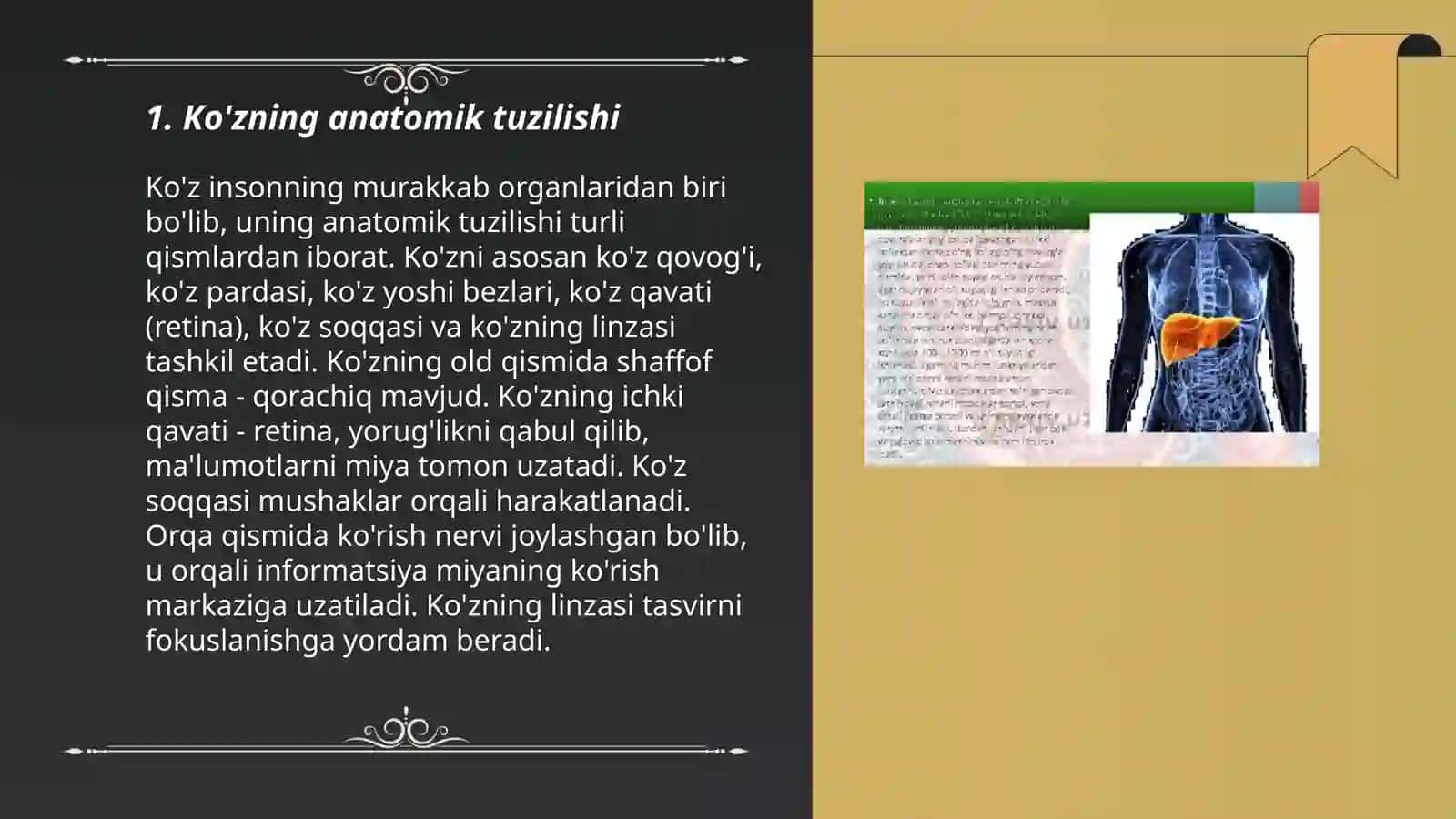 Sezgi azolari "ko'z" gistologiyasi 3