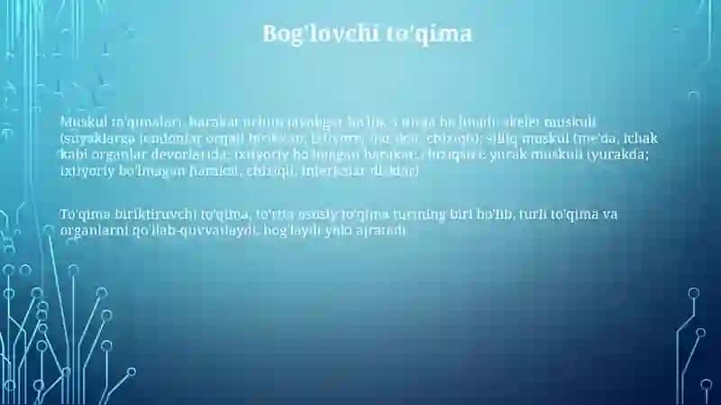 Muskul to'qimalari 3