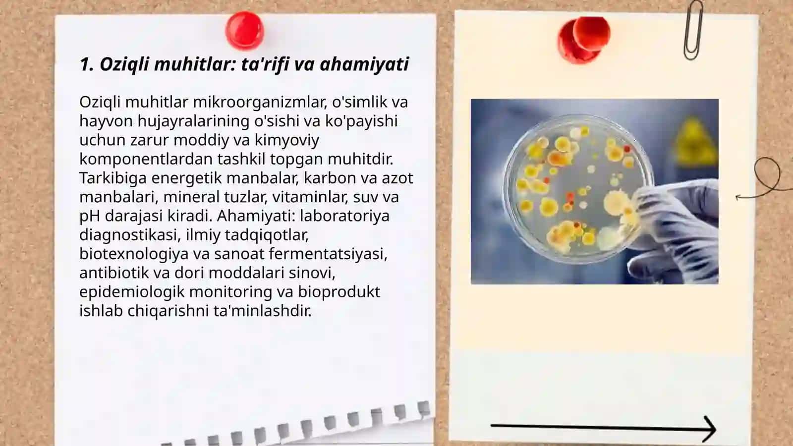 Oziqli muhitlar, tasnifi, qoʻyilgan talablar 3