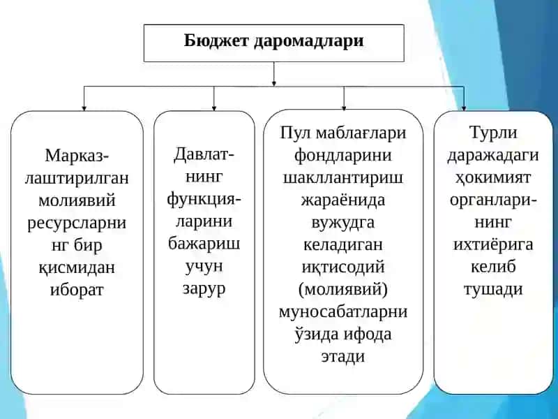 Давлат бюджети даромадлари тизими 3