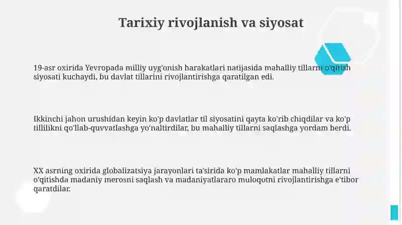 Ona tili ta'limida rivojlangan xorijiy davlatlar tajribasi 3