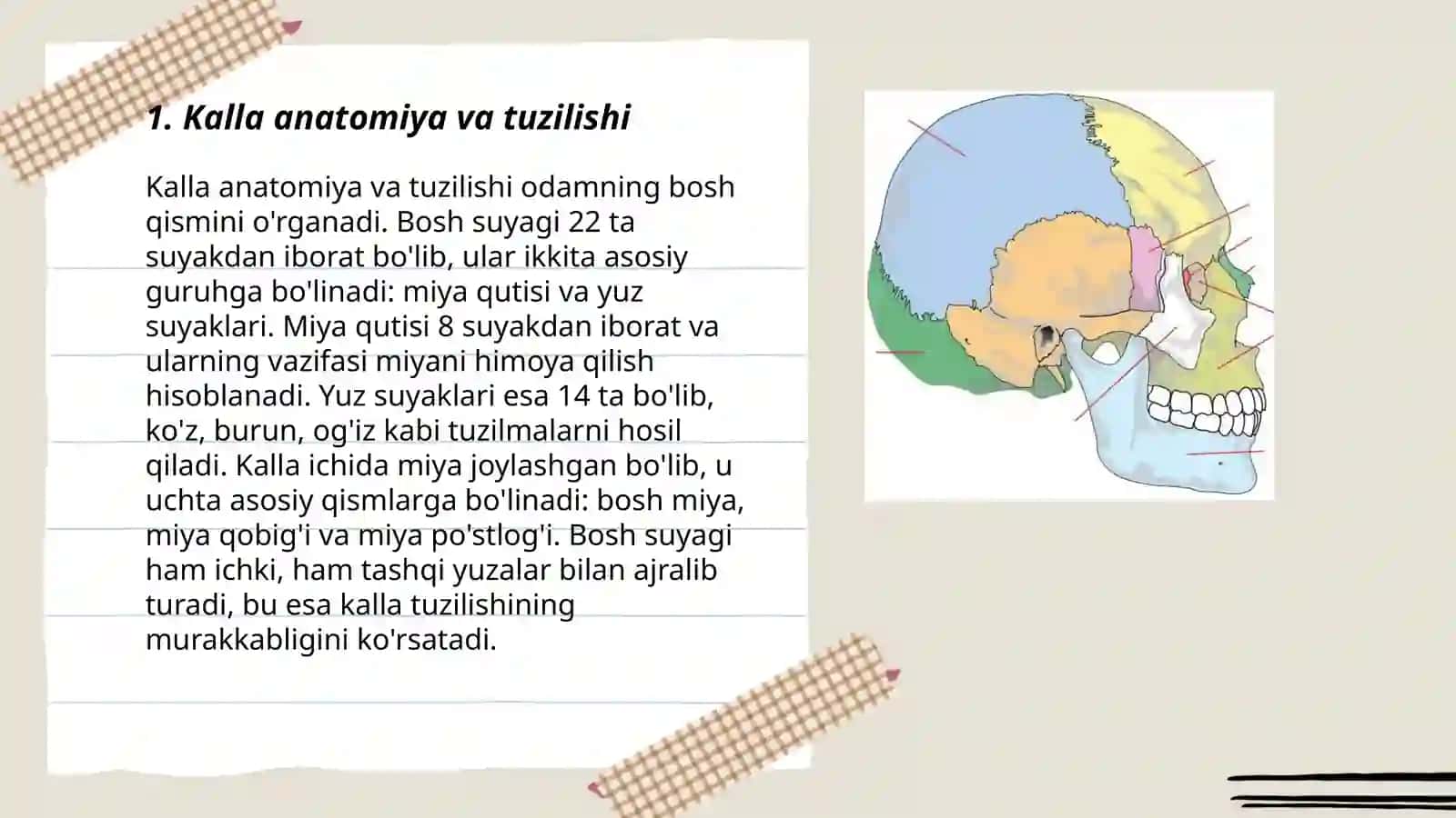 Kalla anatomiya va tuzilishi 3