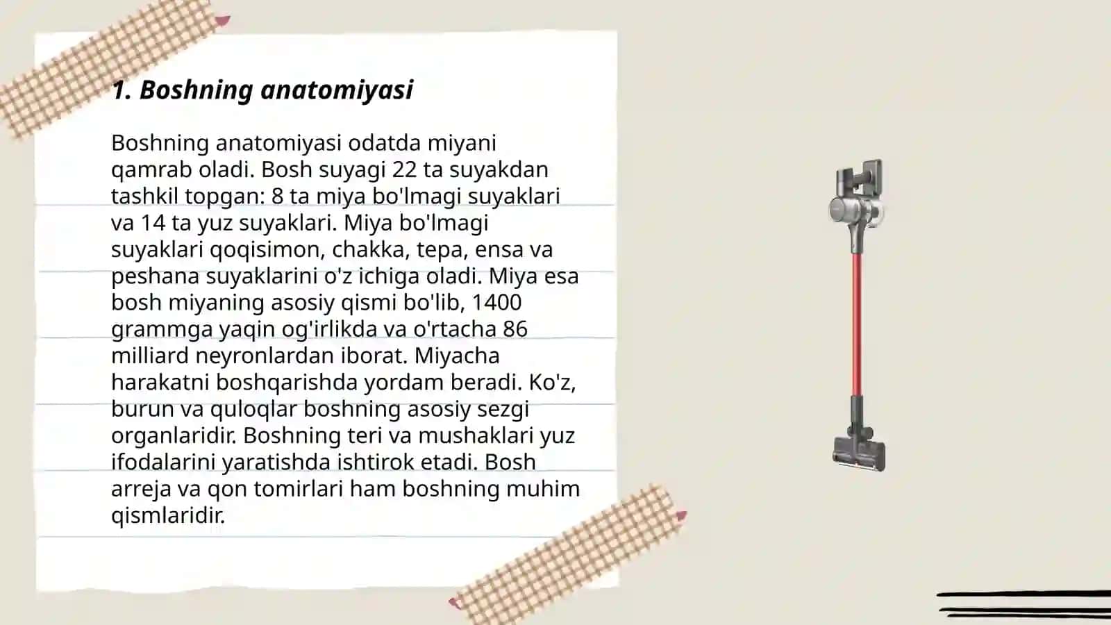 Boshning anatomiyasi 3