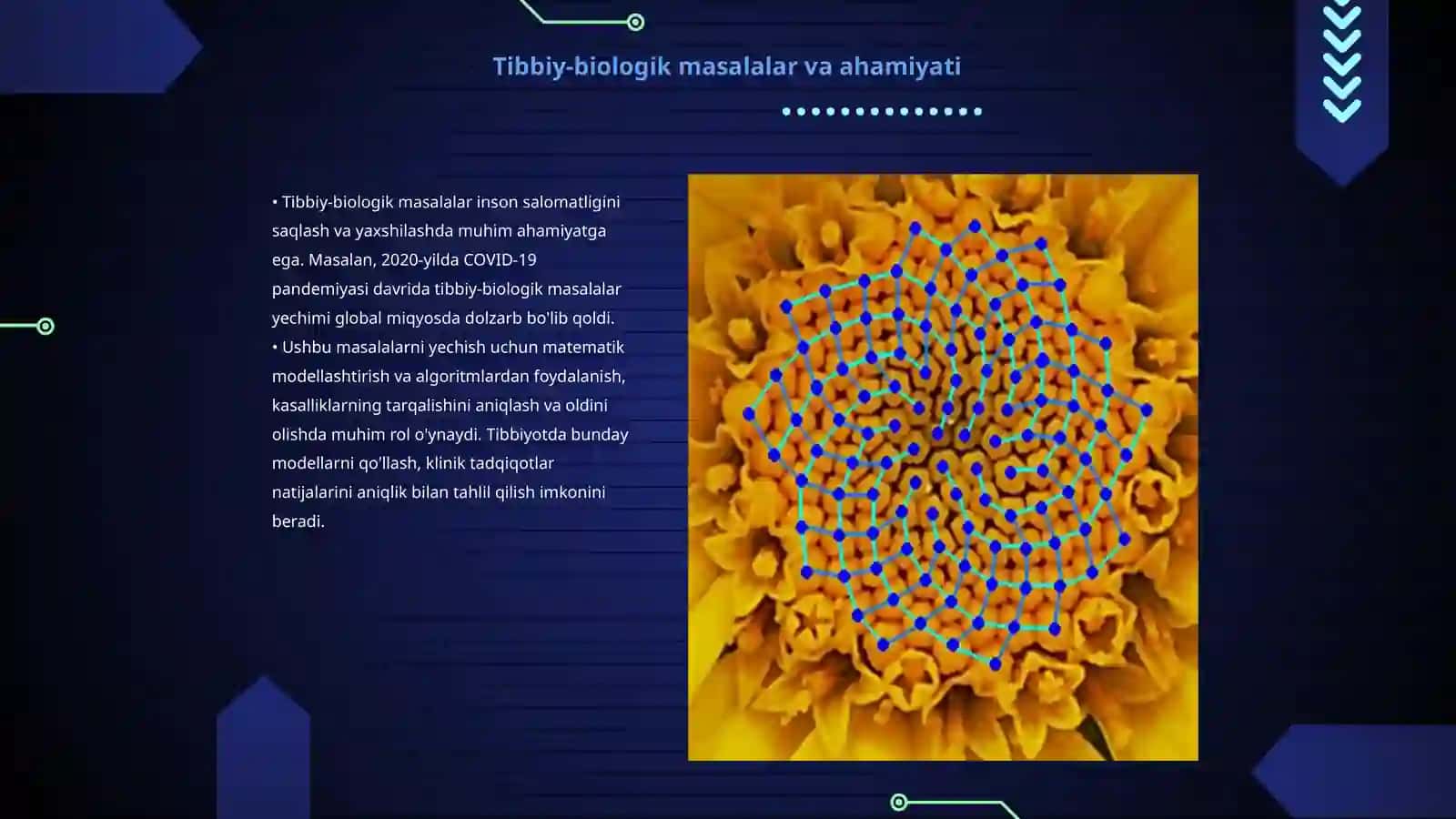 Tibbiy-biologik masalalarni yechish algorimlarini matematik modellashtirish 3
