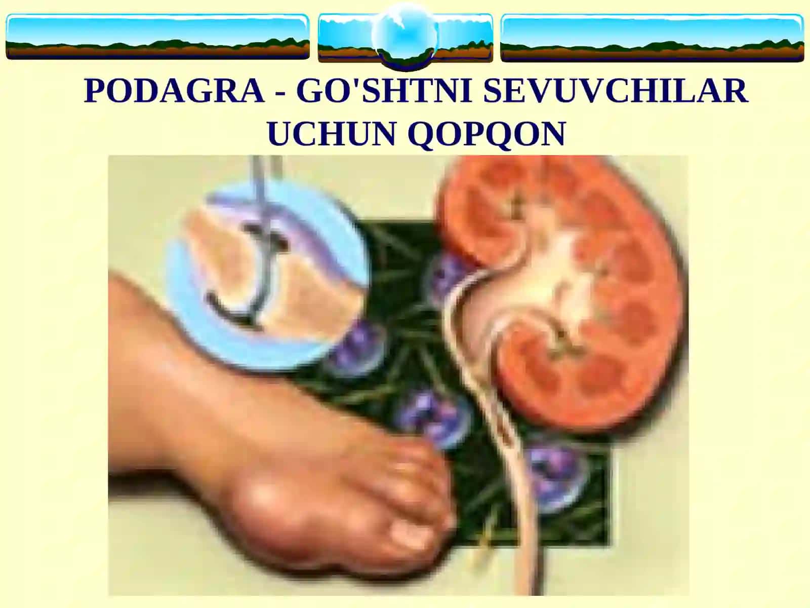PODAGRA 3
