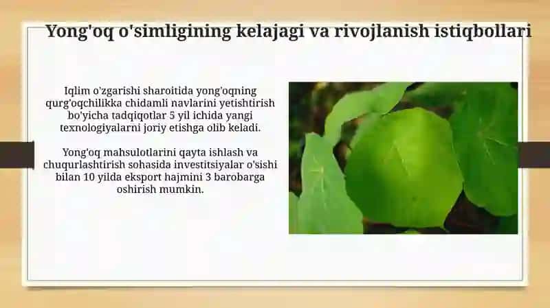 Yong'oq O'simligining o'ziga xos o'simlik sifatidagi tahlili 3
