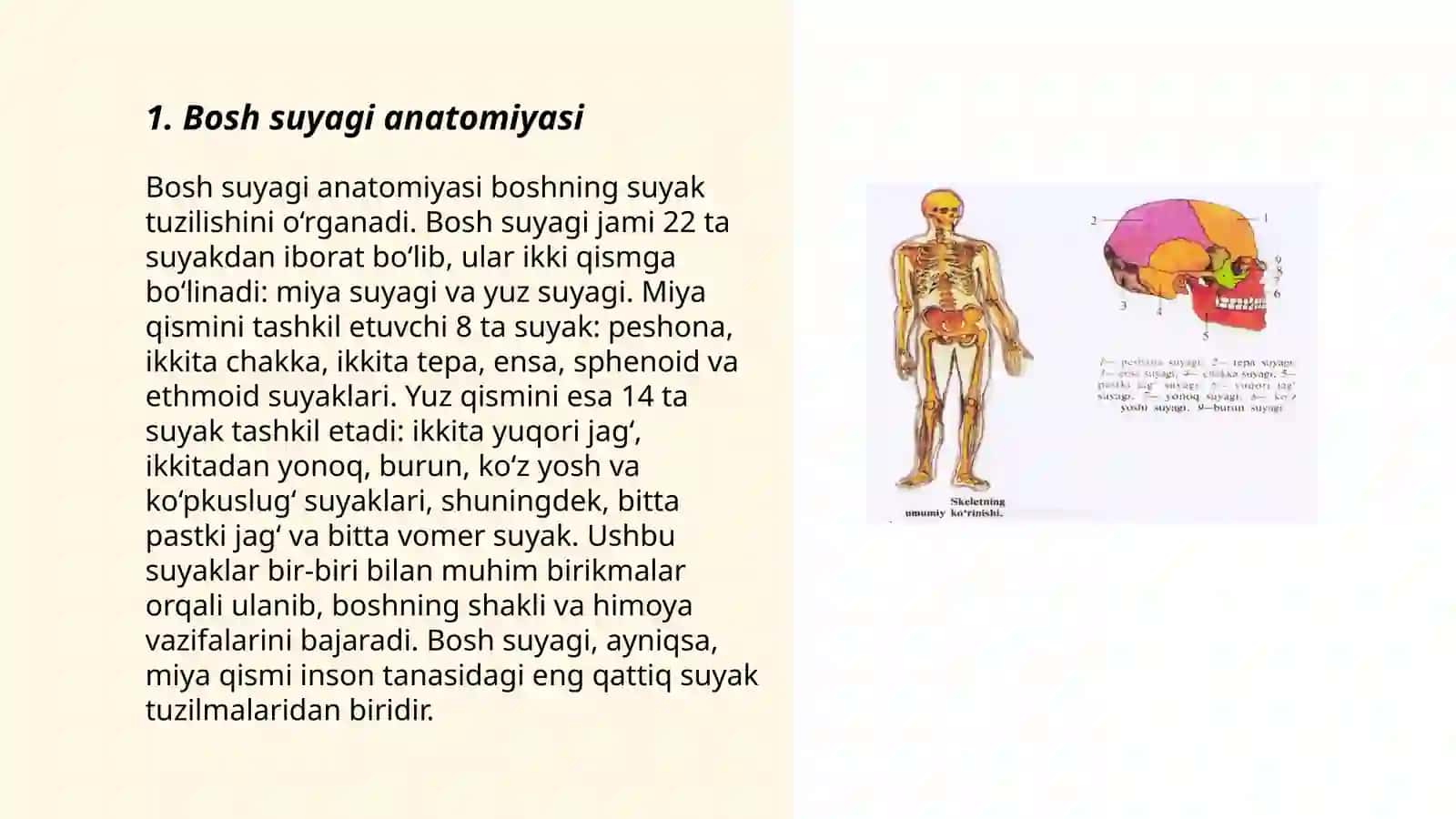Bosh suyagi jarohatlari 3