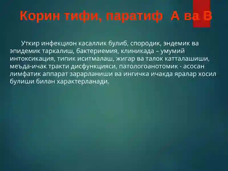 Ич терлама –қорин тифи (typhus abdominalis) 3